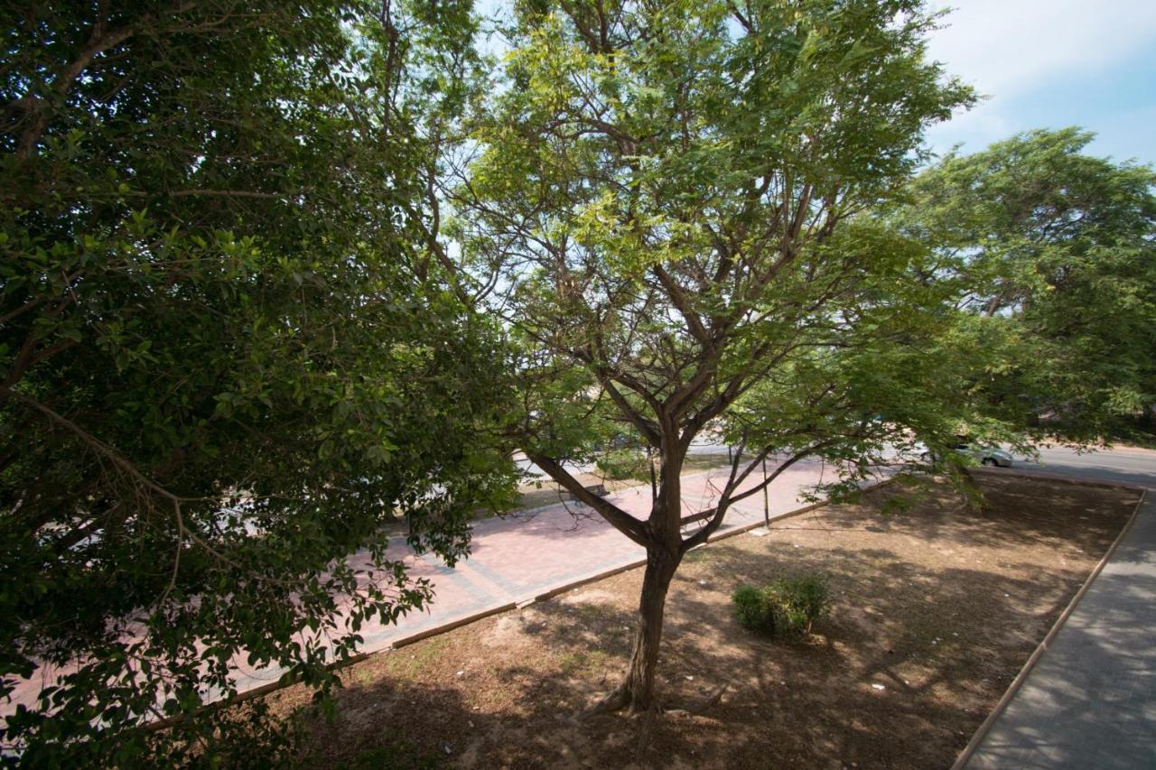 113 Beach And Trees - Alicante Holiday Torrevieja Bagian luar foto