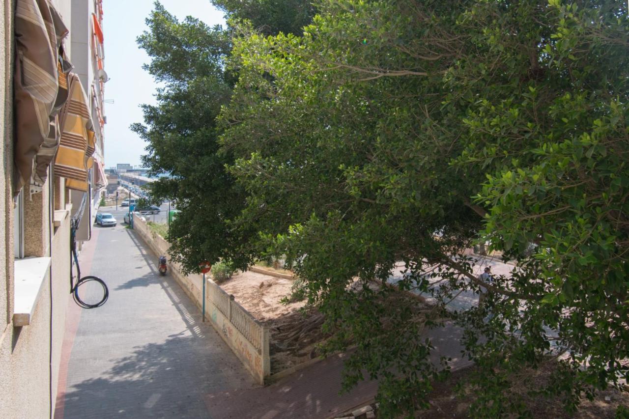 113 Beach And Trees - Alicante Holiday Torrevieja Bagian luar foto