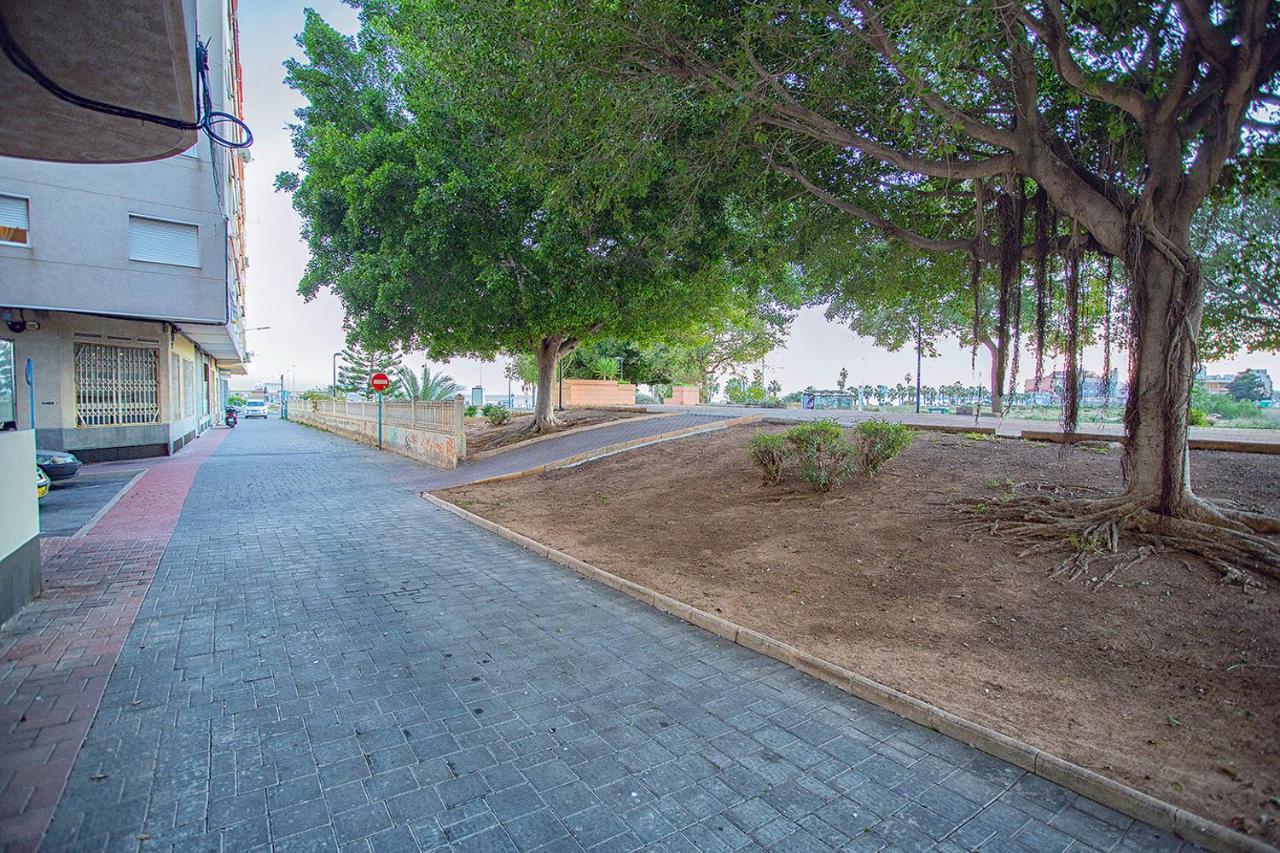 113 Beach And Trees - Alicante Holiday Torrevieja Bagian luar foto